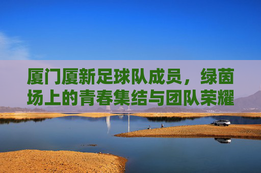 厦门厦新足球队成员,绿茵场上的青春集结与团队荣耀