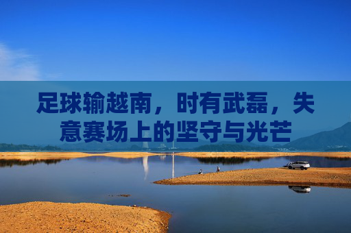足球输越南,时有武磊,失意赛场上的坚守与光芒