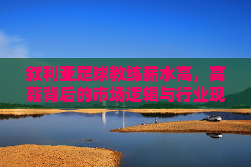 叙利亚足球教练薪水高，高薪背后的市场逻辑与行业现状，叙利亚足球教练薪水高，高薪背后的市场逻辑与行业现状