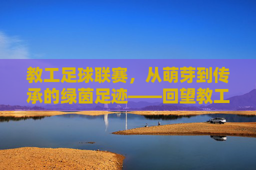 教工足球联赛,从萌芽到传承的绿茵足迹——回望教工足球联赛的百年(或几十年)历程
