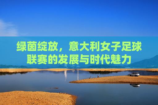 绿茵绽放,意大利女子足球联赛的发展与时代魅力