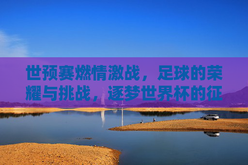 世预赛燃情激战，足球的荣耀与挑战，逐梦世界杯的征途