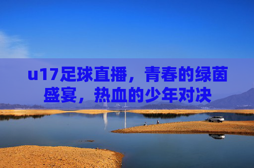 u17足球直播,青春的绿茵盛宴,热血的少年对决