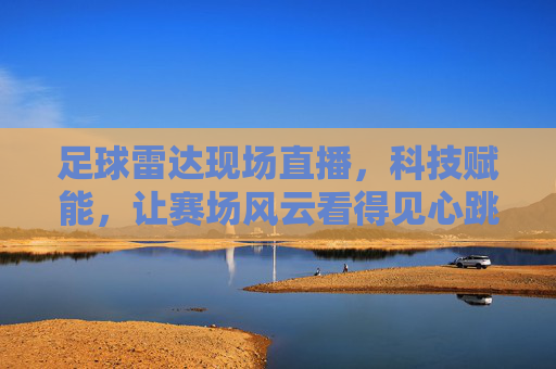 足球雷达现场直播，科技赋能，让赛场风云看得见心跳——沉浸式观赛新体验