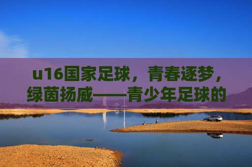 u16国家足球，青春逐梦，绿茵扬威——青少年足球的竞技荣光与未来希望，u16国家足球，青春逐梦，绿茵扬威——竞技荣光与未来希望