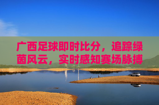 广西足球即时比分,追踪绿茵风云,实时感知赛场脉搏
