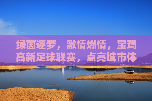 绿茵逐梦，激情燃情，宝鸡高新足球联赛，点亮城市体育新篇章
