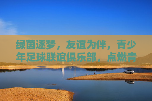 绿茵逐梦，友谊为伴，青少年足球联谊俱乐部，点燃青春足球热情