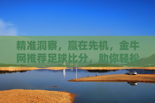 精准洞察,赢在先机,金牛网推荐足球比分,助你轻松掌握比赛脉搏