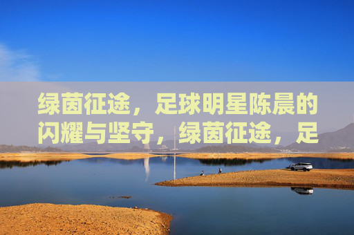 绿茵征途，足球明星陈晨的闪耀与坚守，绿茵征途，足球明星陈晨的闪耀与坚守