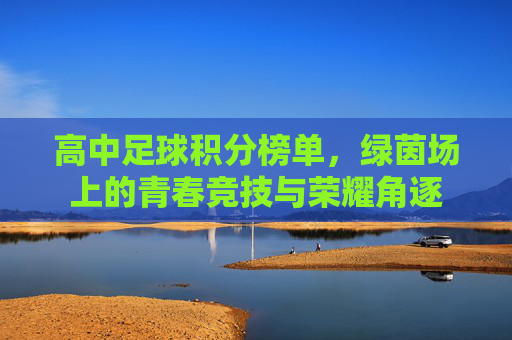 高中足球积分榜单,绿茵场上的青春竞技与荣耀角逐