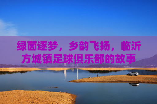 绿茵逐梦,乡韵飞扬,临沂方城镇足球俱乐部的故事