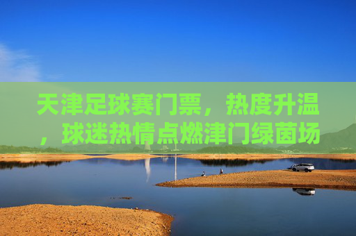 天津足球赛门票，热度升温，球迷热情点燃津门绿茵场，天津足球赛门票热度升温 球迷热情点燃津门绿茵场