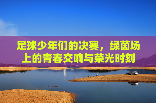 足球少年们的决赛,绿茵场上的青春交响与荣光时刻