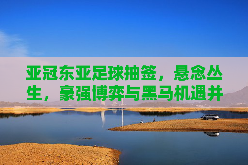 亚冠东亚足球抽签，悬念丛生，豪强博弈与黑马机遇并存