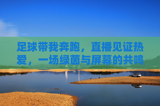 足球带我奔跑，直播见证热爱，一场绿茵与屏幕的共鸣之旅