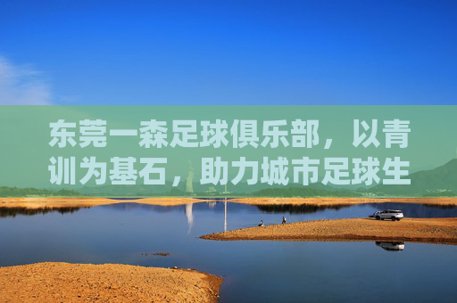 东莞一森足球俱乐部,以青训为基石,助力城市足球生态的构建