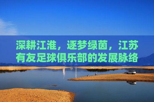 深耕江淮，逐梦绿茵，江苏有友足球俱乐部的发展脉络与未来展望