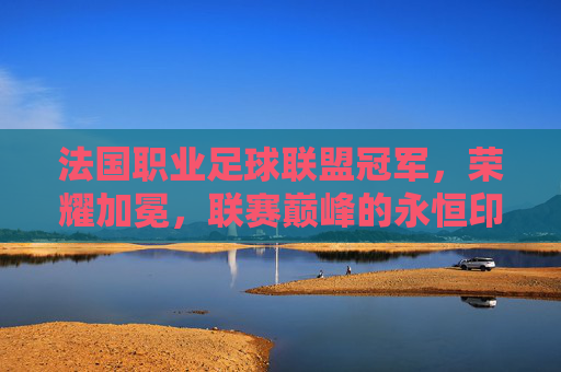 法国职业足球联盟冠军，荣耀加冕，联赛巅峰的永恒印记，法国职业足球联盟冠军，荣耀加冕，联赛巅峰的永恒印记