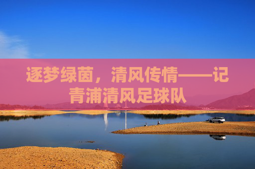 逐梦绿茵，清风传情——记青浦清风足球队