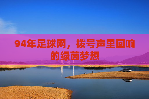 94年足球网,拨号声里回响的绿茵梦想
