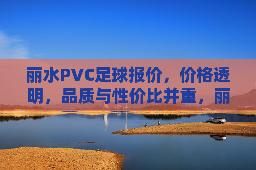丽水PVC足球报价，价格透明，品质与性价比并重，丽水PVC足球报价，价格透明，品质与性价比并重