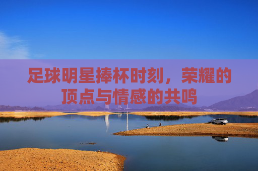 足球明星捧杯时刻，荣耀的顶点与情感的共鸣
