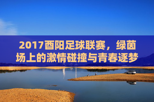 2017酉阳足球联赛，绿茵场上的激情碰撞与青春逐梦的足球印记