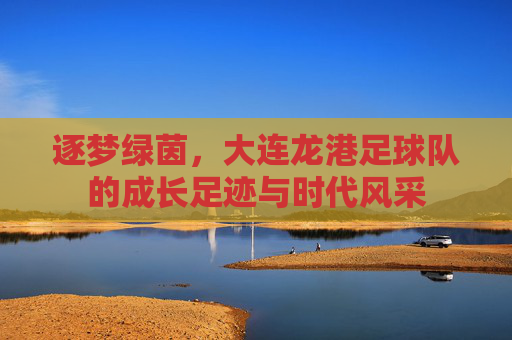 逐梦绿茵，大连龙港足球队的成长足迹与时代风采