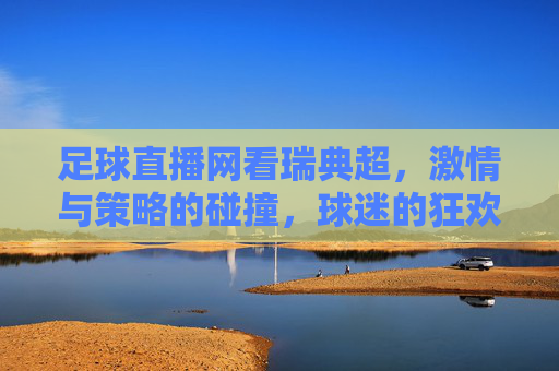 足球直播网看瑞典超,激情与策略的碰撞,球迷的狂欢盛宴——解析瑞典超赛事魅力与直播体验