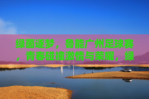 绿茵逐梦，鲁能广州足球赛，青春碰撞激情与荣耀，绿茵逐梦，鲁能广州足球赛，青春碰撞激情与荣耀