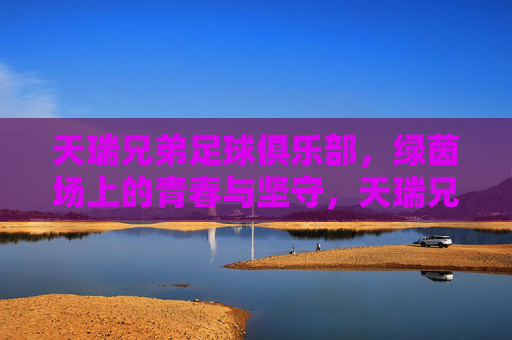 天瑞兄弟足球俱乐部,绿茵场上的青春与坚守,天瑞兄弟足球俱乐部,绿茵场上的青春与坚守