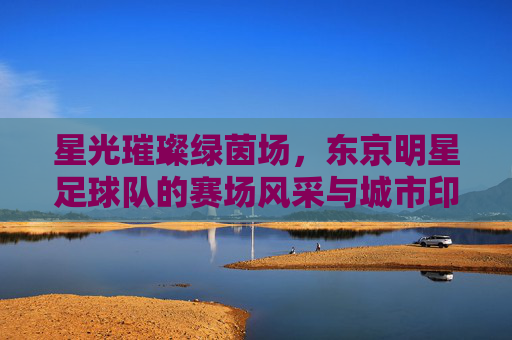 星光璀璨绿茵场，东京明星足球队的赛场风采与城市印记