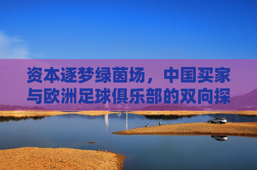 资本逐梦绿茵场，中国买家与欧洲足球俱乐部的双向探索，资本逐梦绿茵场，中国买家与欧洲足球俱乐部的双向探索