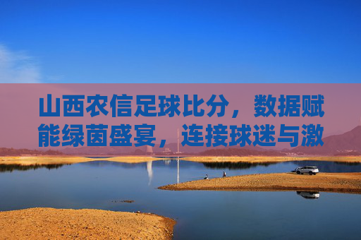 山西农信足球比分，数据赋能绿茵盛宴，连接球迷与激情，山西农信足球比分，数据赋能绿茵盛宴，连接球迷与激情