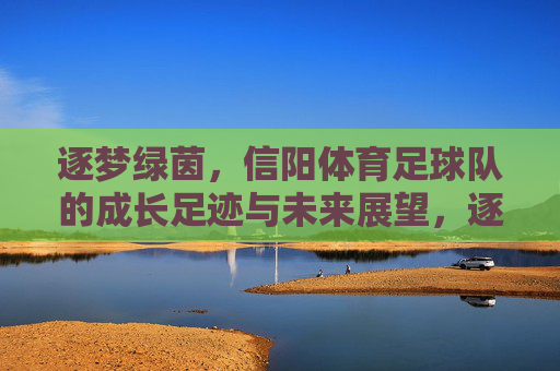 逐梦绿茵，信阳体育足球队的成长足迹与未来展望，逐梦绿茵，信阳体育足球队的成长足迹与未来展望