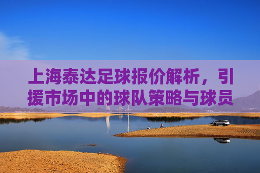 上海泰达足球报价解析，引援市场中的球队策略与球员价值评估，上海泰达足球引援报价解析，球队策略与球员价值评估