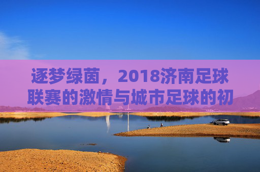 逐梦绿茵,2018济南足球联赛的激情与城市足球的初长成,逐梦绿茵,2018济南足球联赛的激情与城市足球的初长成