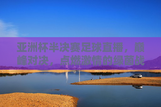 亚洲杯半决赛足球直播，巅峰对决，点燃激情的绿茵战场，亚洲杯半决赛足球直播，巅峰对决点燃激情的绿茵战场