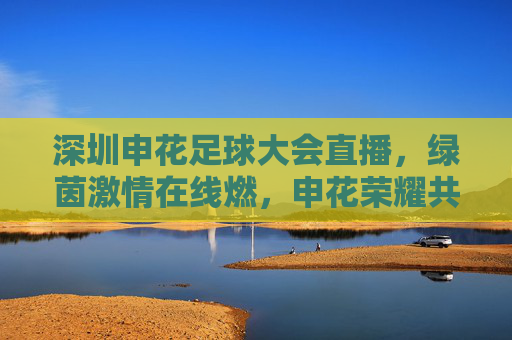 深圳申花足球大会直播，绿茵激情在线燃，申花荣耀共赏