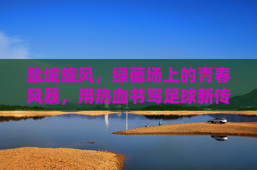 盐城旋风，绿茵场上的青春风暴，用热血书写足球新传奇，盐城旋风，绿茵场上的青春风暴，用热血书写足球新传奇