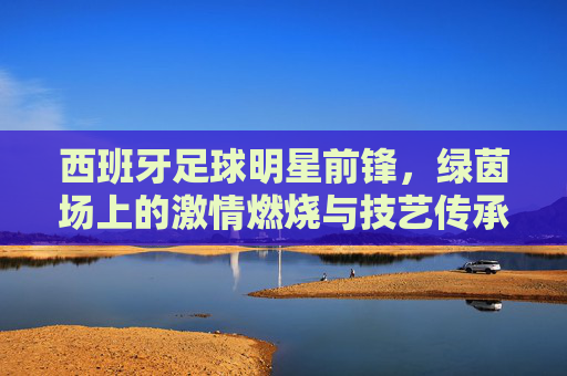 西班牙足球明星前锋,绿茵场上的激情燃烧与技艺传承——从托雷斯到莫拉塔的巅峰印记