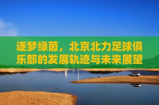 逐梦绿茵，北京北力足球俱乐部的发展轨迹与未来展望