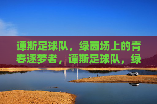 谭斯足球队，绿茵场上的青春逐梦者，谭斯足球队，绿茵场上的青春逐梦者