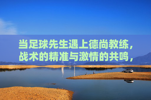 当足球先生遇上德尚教练,战术的精准与激情的共鸣,当足球先生遇上德尚教练,战术的精准与激情的共鸣