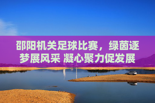 邵阳机关足球比赛，绿茵逐梦展风采 凝心聚力促发展