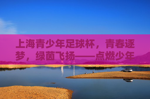 上海青少年足球杯，青春逐梦，绿茵飞扬——点燃少年足球激情的璀璨星火
