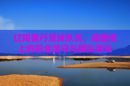 辽阳银行足球队员,绿茵场上的职业坚守与团队荣光