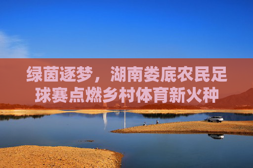 绿茵逐梦，湖南娄底农民足球赛点燃乡村体育新火种