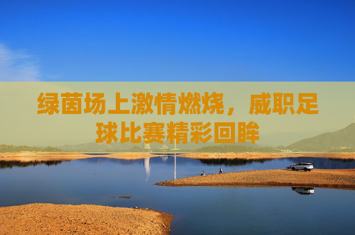 绿茵场上激情燃烧,威职足球比赛精彩回眸